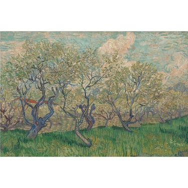 Cherry Blossom Canvas Van Gogh
